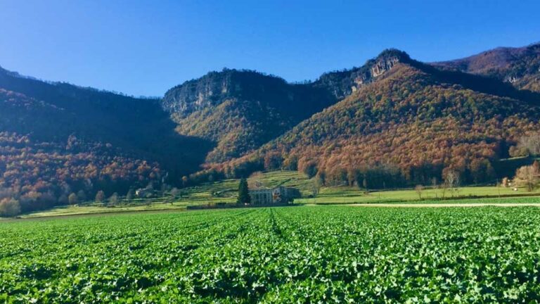 Acció Climàtica destina 7,6 MEUR en ajuts 2021 a la diversificació econòmica de les zones rurals Leader 2014-2022