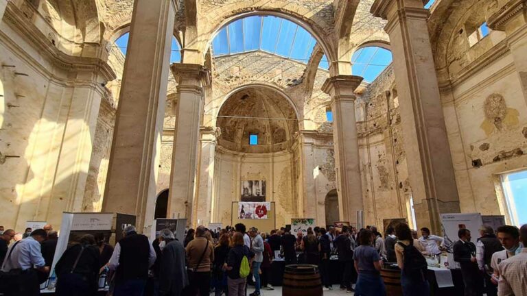 La DO Terra Alta tanca la setmana de la Festa del Vi molt satisfeta per la bona acollida de tots els actes