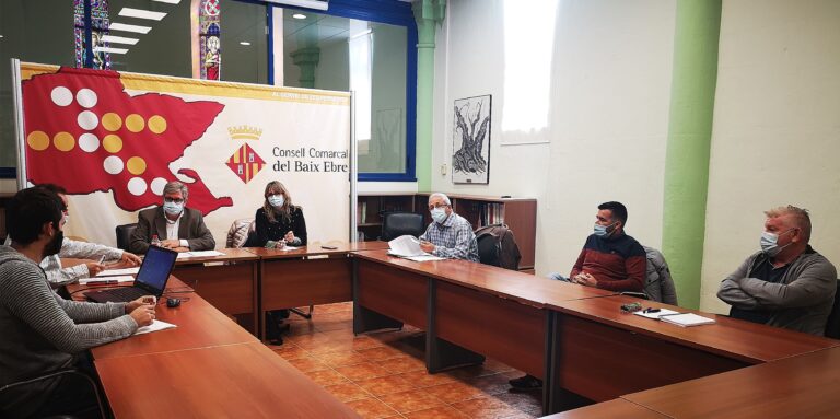 El Premi Solidaritat del Consell Comarcal del Baix Ebre destinarà el guardó a la Marató de TV3