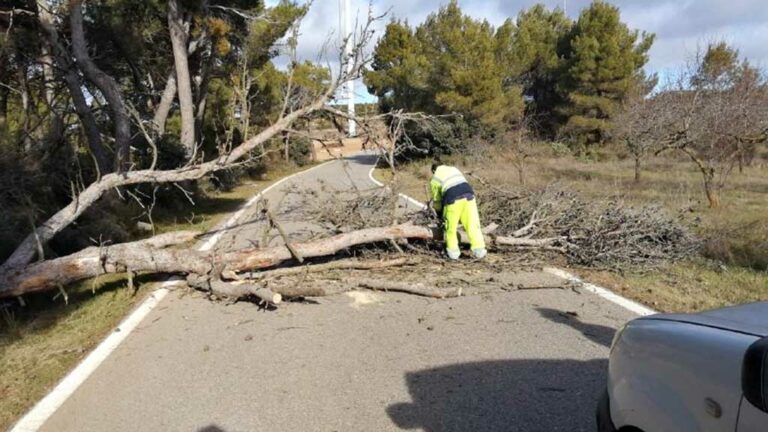 Els Bombers reben 25 avisos pel fort vent, que supera els 100 km/h al Camp de Tarragona i l’Ebre