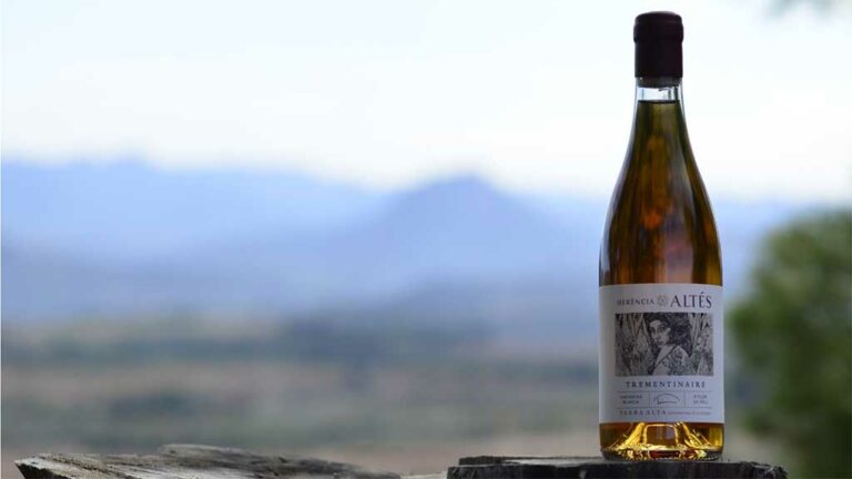 El vi Trementinaire 2018 d’Herència Altés, Millor Vi Brisat de la Guia de Vins de Catalunya 2022