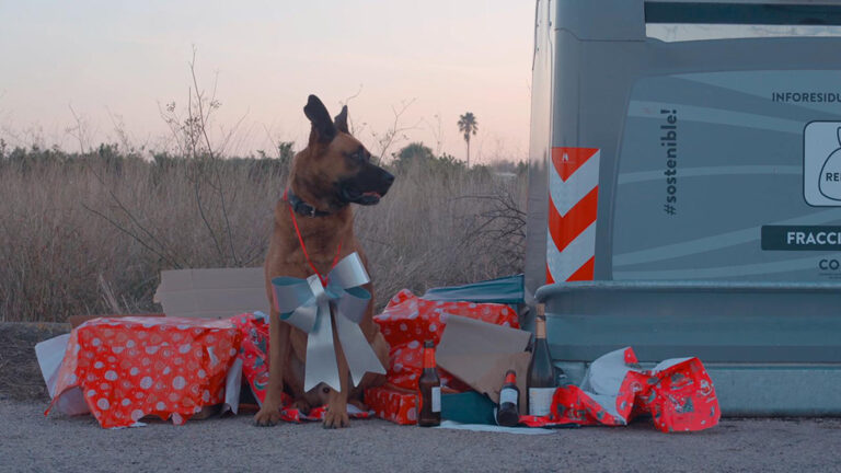 Alcanar inicia una campanya nadalenca per a evitar l’abandonament d’animals