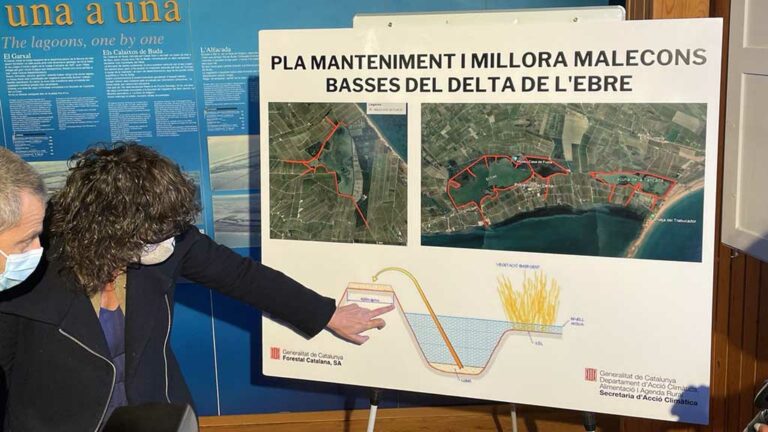 La consellera Jordà anuncia un pla de reforç de la protecció de les basses del Delta de l’Ebre