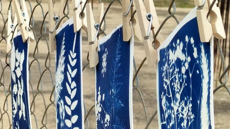 L’Arxiu Comarcal de la Terra Alta apropa les tècniques ancestrals de fotografia als alumnes de secundària