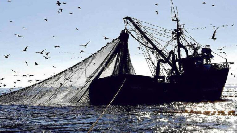 Establerta al litoral català una xarxa de 20 zones marines tancades a la pesca de més de 500 km2