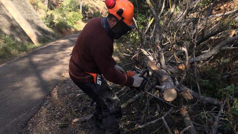 El Consell Comarcal de la Terra Alta crea ocupació a través del Programa de Treball i Formació 2021 MG45 i DONA