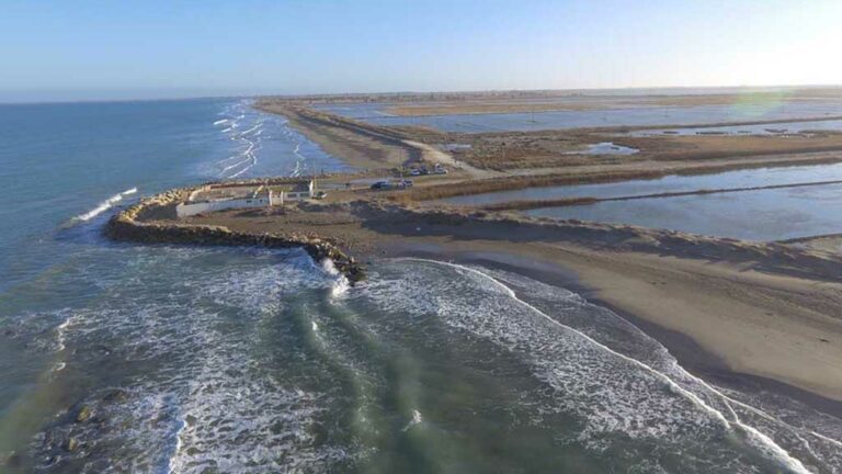 El Síndic eleva a la CE les queixes sobre l’incompliment de les normes per garantir la protecció del delta de l’Ebre
