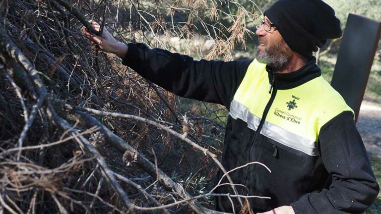 El Consell contracta sis persones de la Ribera en el marc del Programa Treball i Formació 2022