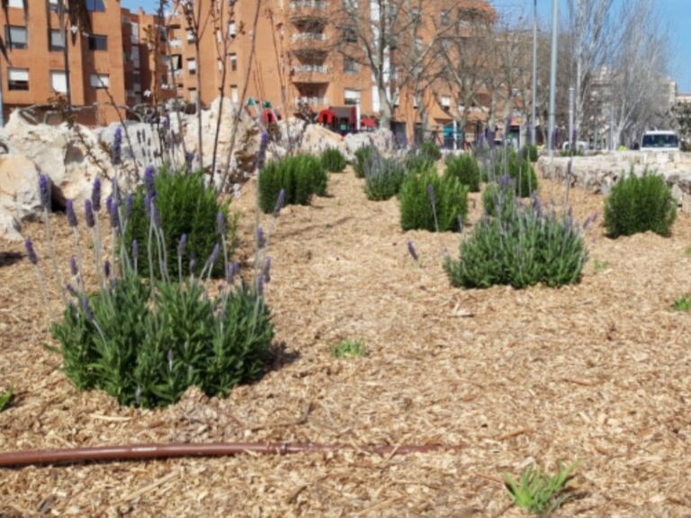 L’Ajuntament de Tortosa renova  l’enjardinament del passeig Jaume I