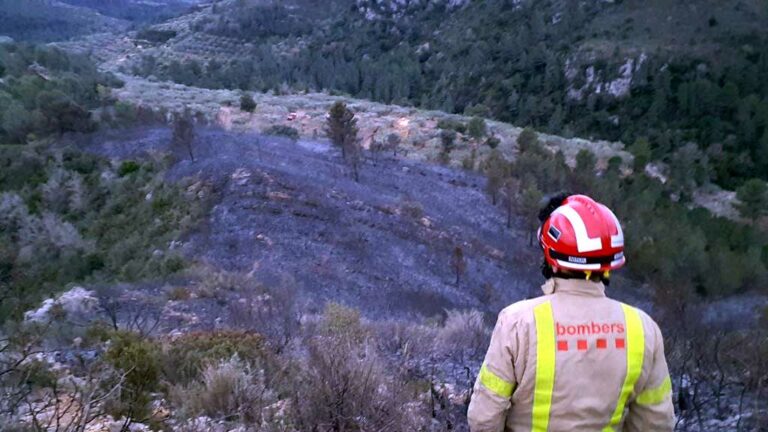 Un incendi crema unes dues hectàrees de vegetació en un barranc de Tortosa