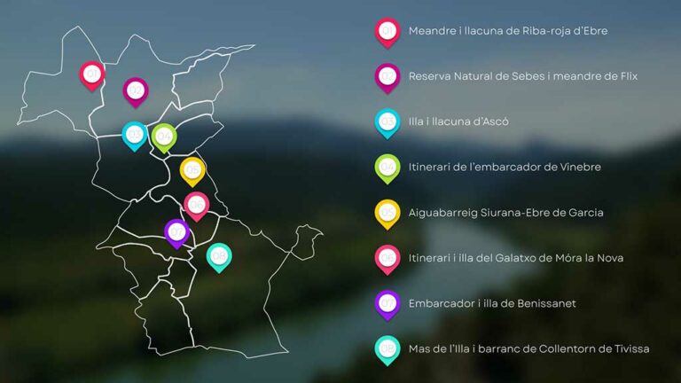 Un projecte de 31.000 euros per restaurar l’entorn fluvial a la Ribera d’Ebre