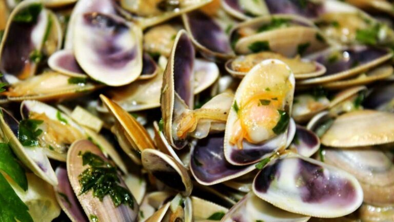 Deltebre inicia el cicle de gastronomia amb les Jornades Gastronòmiques de la Closca