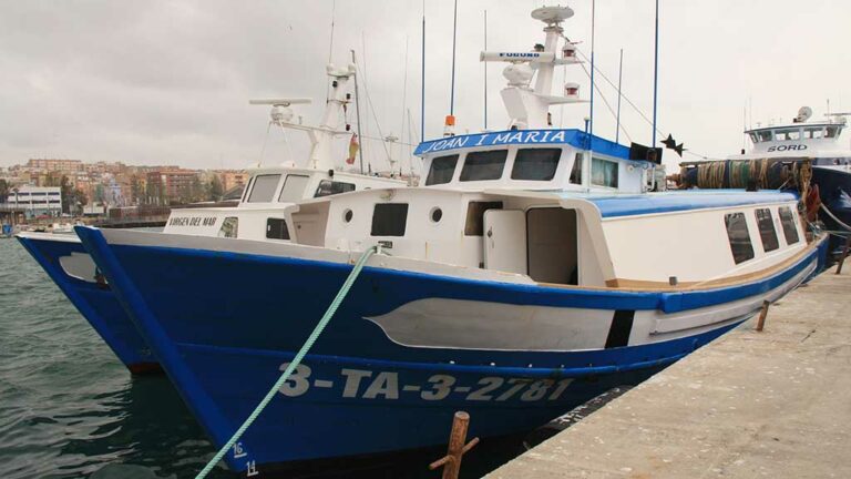 Els peixaters asseguren que l’abastiment de peix fresc “està garantit” a Catalunya