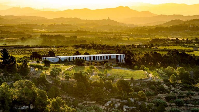 Herència Altés participarà en dues ponències sobre sostenibilitat i emergència climàtica a la Barcelona Wine Week