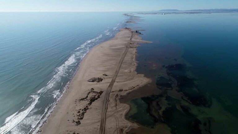 La Ràpita s’adhereix al manifest del Moviment de Lluita pel Delta de l’Ebre