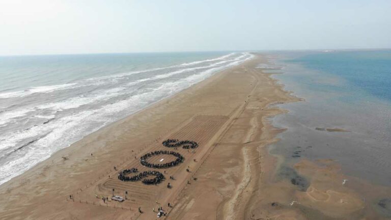 El Delta de l’Ebre celebra que l’ONU es fixe en les Terres de l’Ebre, però alerta que no hi ha temps per a més estudis