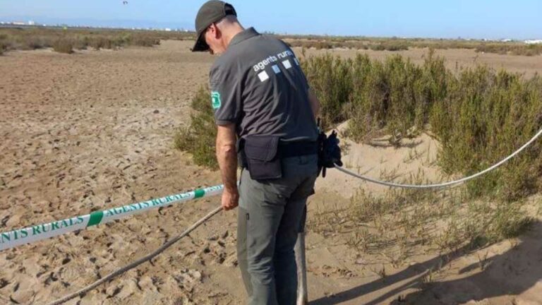 Els Agents Rurals fan prop de 800 inspeccions a la demarcació de Tarragona per Setmana Santa