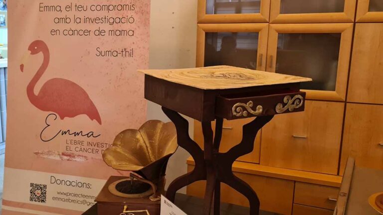 L’Escola d’Hoteleria Institut Dertosa recapta 1.000 € en suport al Projecte Emma