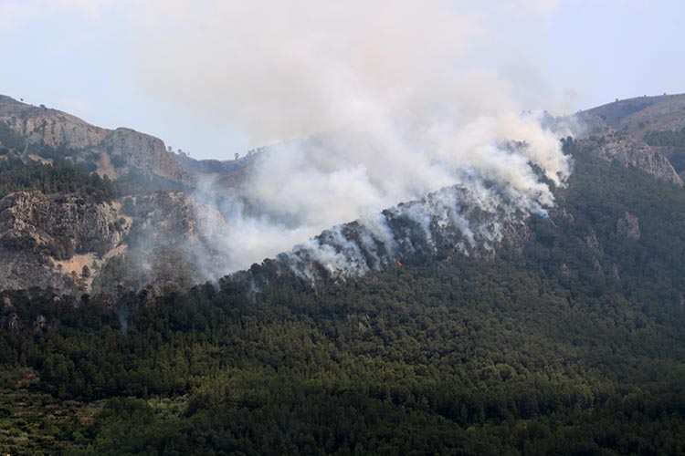 Mor un bomber en caure per un barranc mentre treballava en l’extinció de l’incendi de Paüls