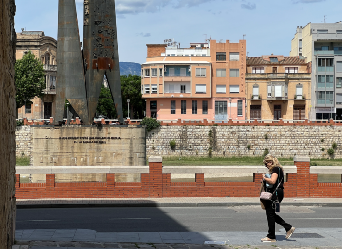 Deu anys de la consulta ciutadana