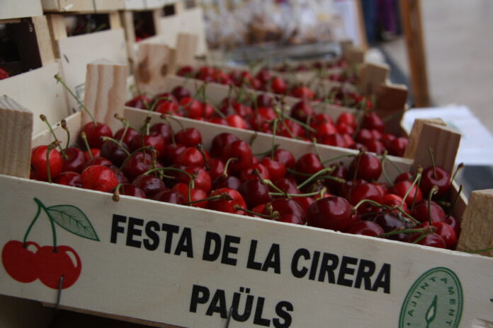 La Festa de la Cirera convertirà Paüls en un gran espai gastronòmic i cultural