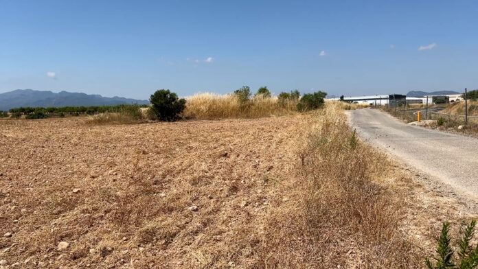 Els terrenys on s’ampliarà el polígon industrial La Verdeguera