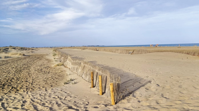 Imatge recent dels retenidors d’arena habilitats a la platja del Trabucador que dona a mar obert
